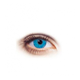 FreshLook Demensions